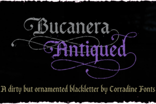 Bucanera Antiqued Family: A Bold Statement for Creative Projects