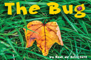 The Bug Font: A Bold Choice for High-Impact Design